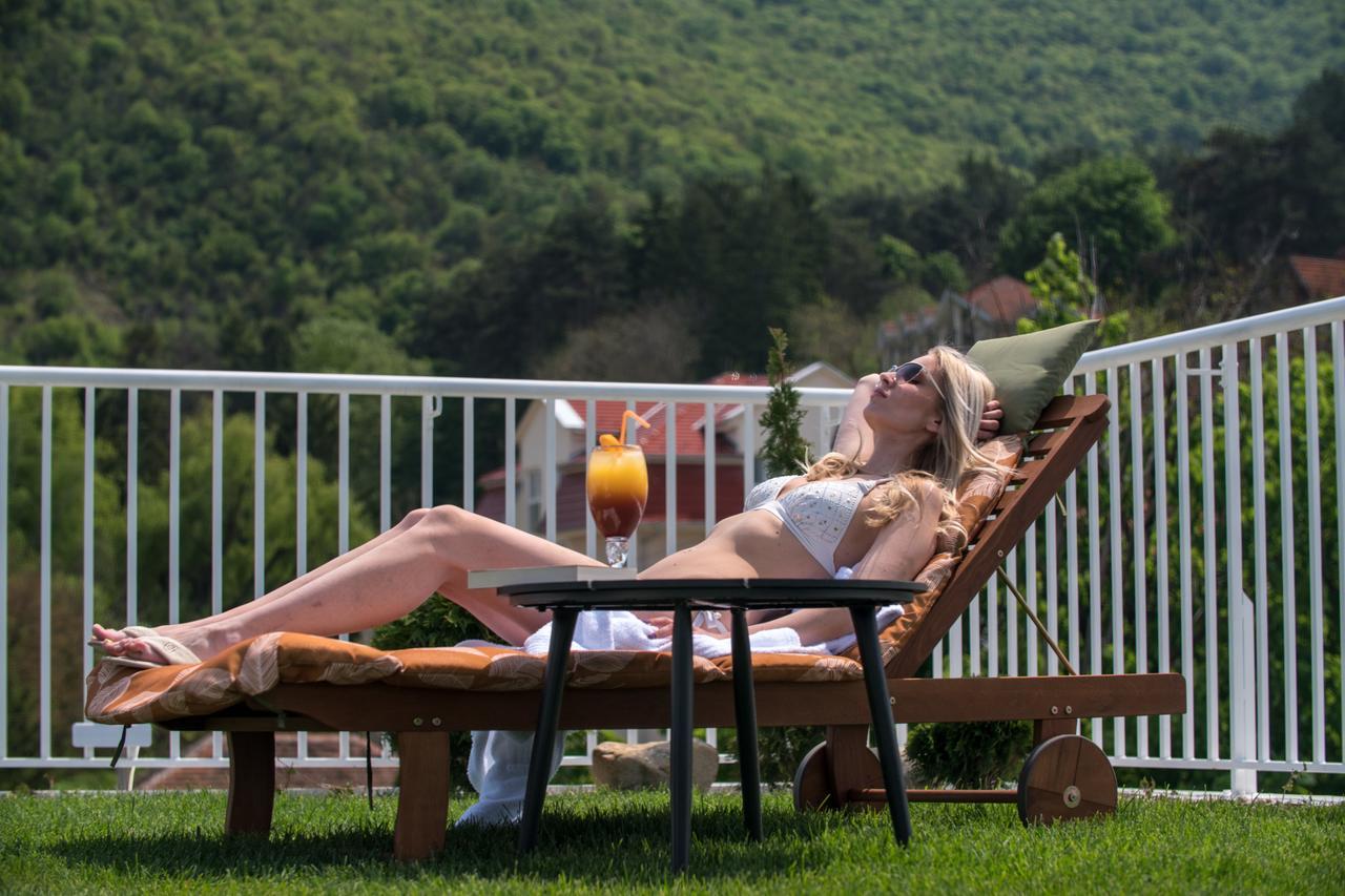 B&B Nataly 2 Soko Banja Exteriér fotografie