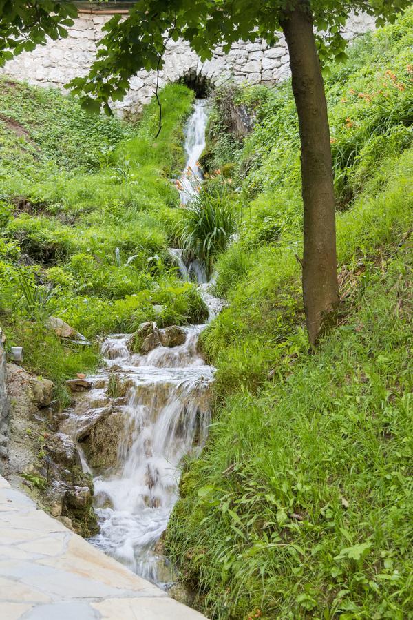 B&B Nataly 2 Soko Banja Exteriér fotografie